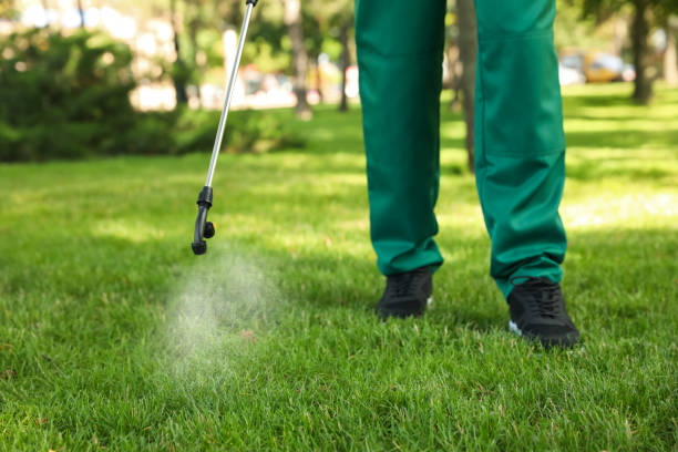 Best Pest Control for Homes  in Olivehurst, CA