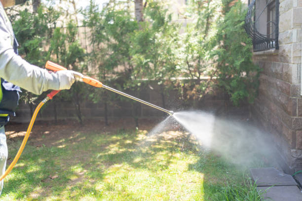 Trusted Olivehurst, CA Pest Control Experts