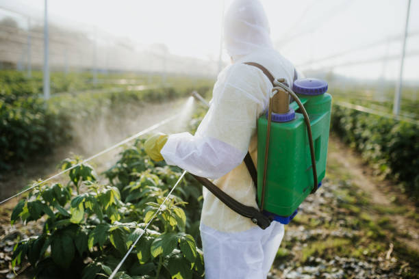 Best Mosquito Control Services  in Olivehurst, CA